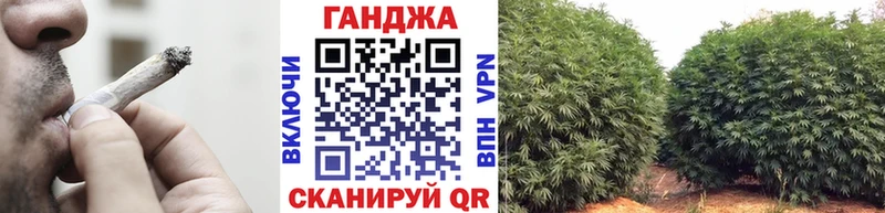 Бошки марихуана семена  гидра зеркало  Никольск 